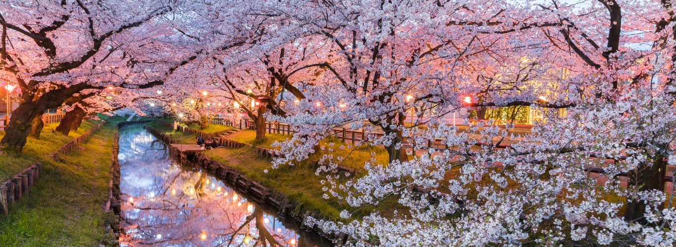 Luxury Luxury Honeymoons in Japan 2025 & 2026 vacations