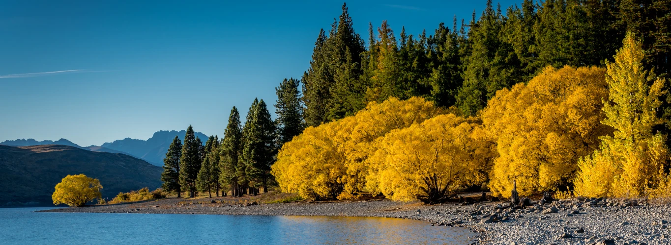 Gay Honeymoons in New Zealand