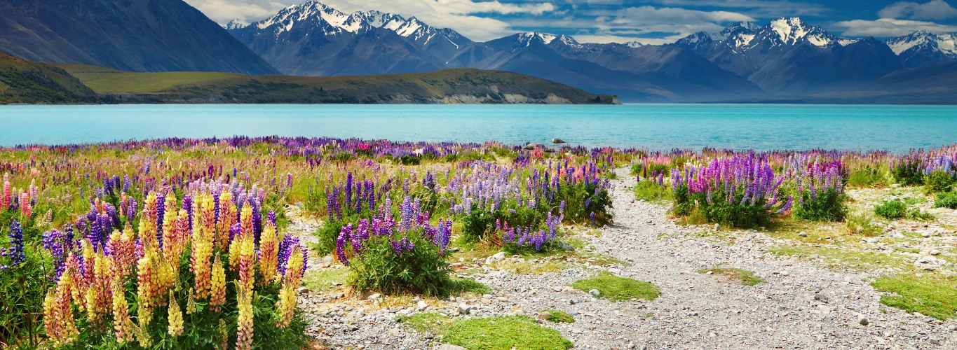 Luxury Gay Vacations in New Zealand