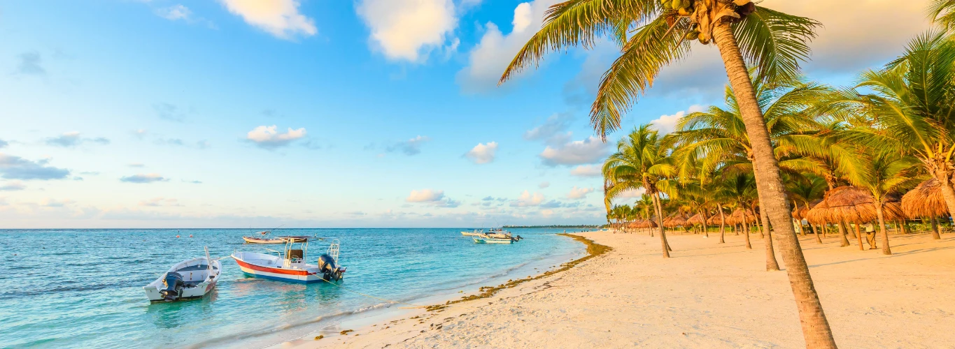 Travel Guides for Riviera Maya