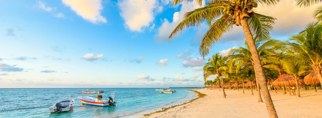 Riviera Maya: The Out Of Office Collection