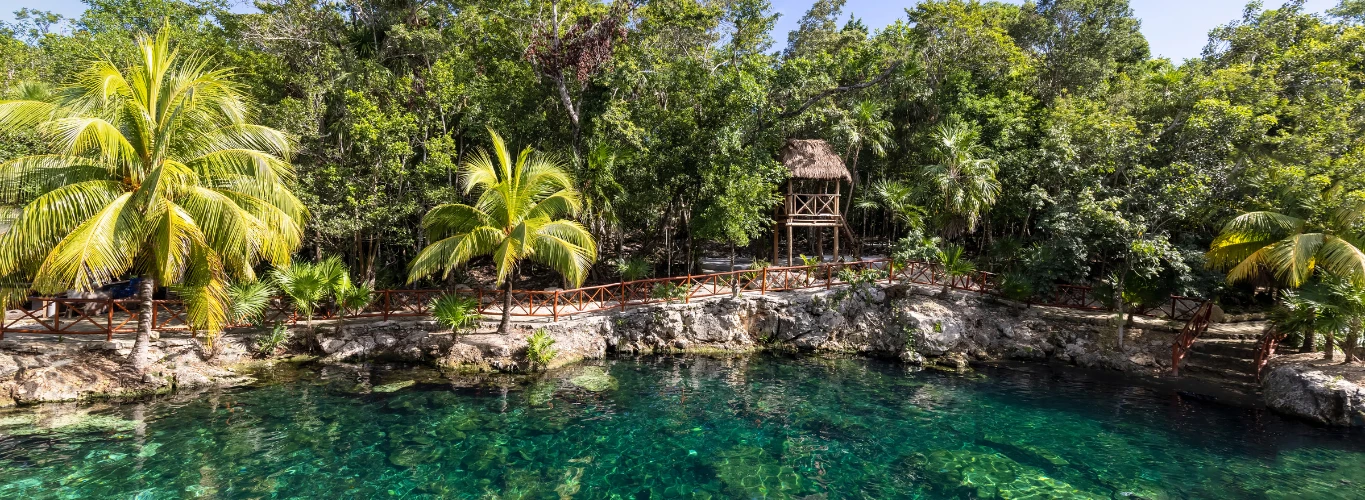 Cenote Casa Tortuga