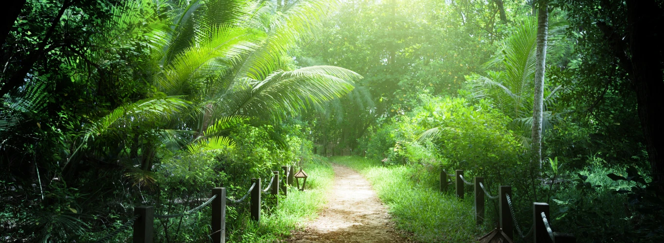 Verdant jungles