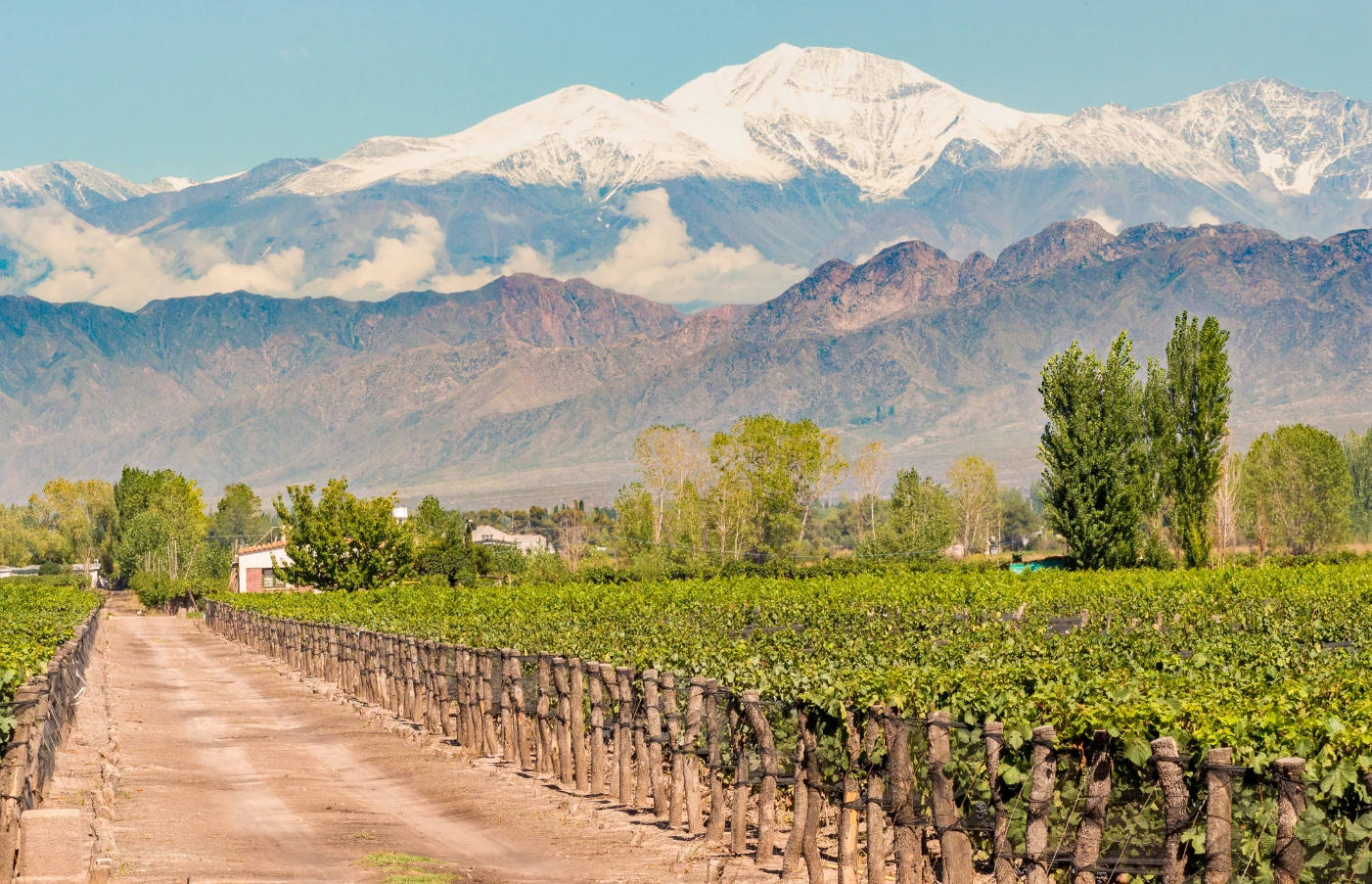 Day 8 - 10: Mendoza