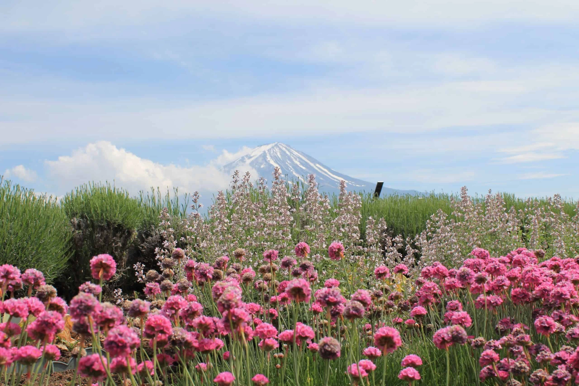 Highlights of Japan