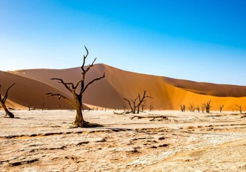 Luxury gay vacations in Namibia