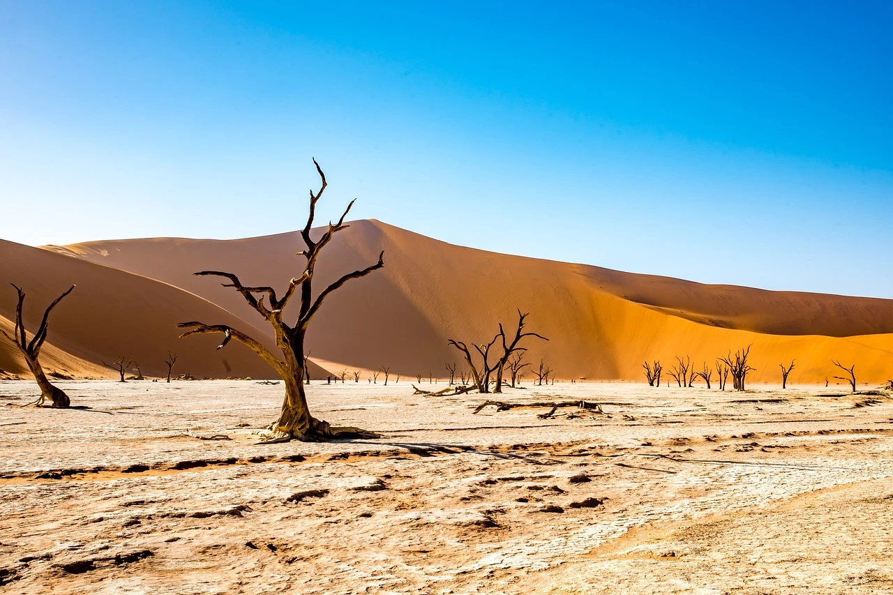 Luxury Namibia vacations