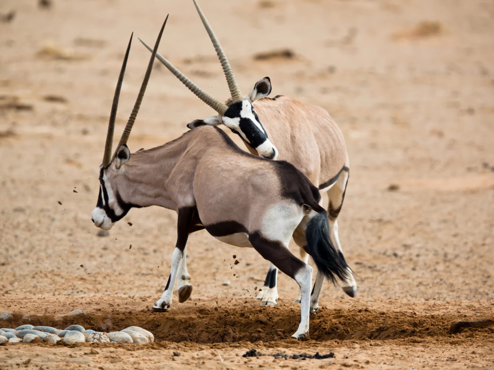 Namibia