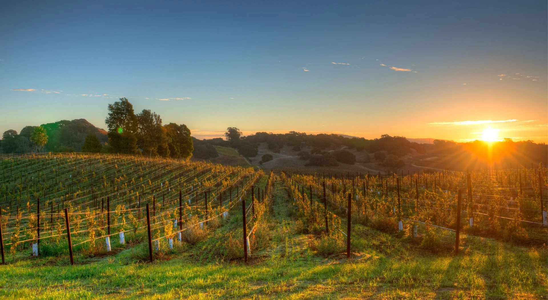 Napa Valley