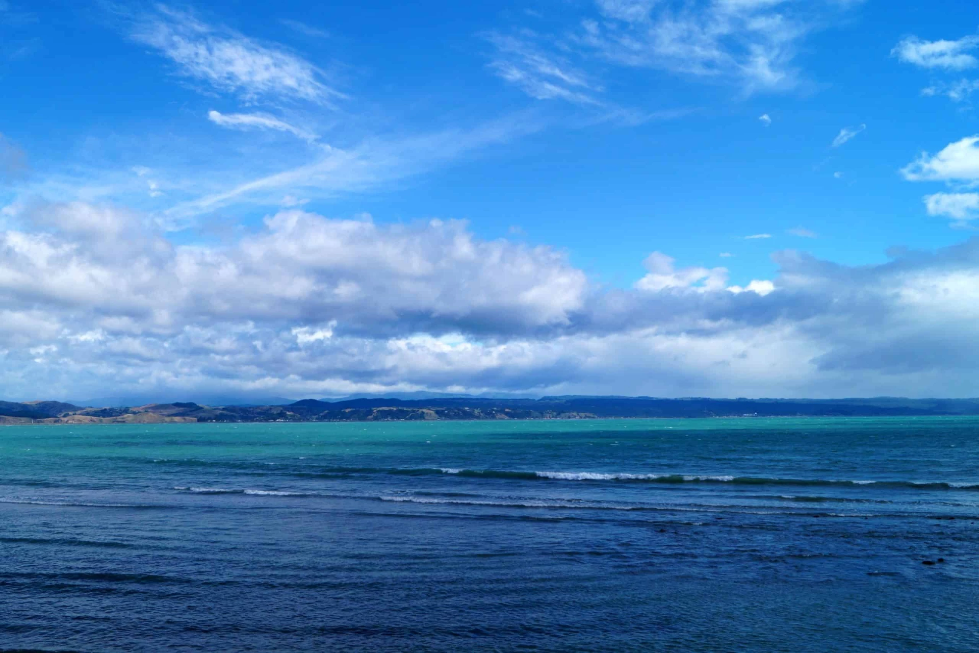 New Zealand Adventure