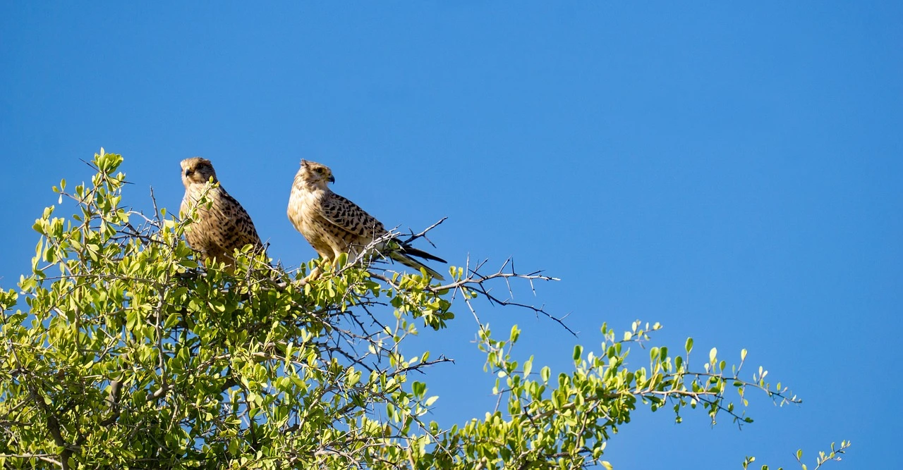 Namibia
