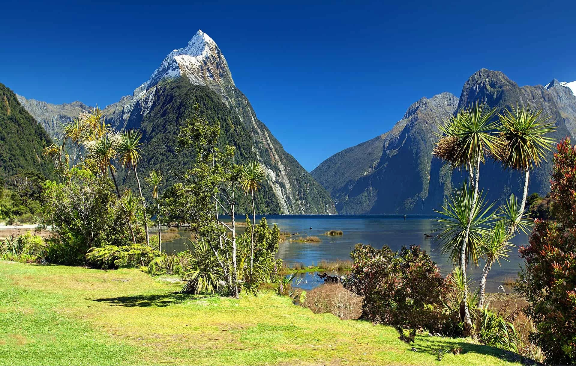 Gay Group Trip: Discover New Zealand