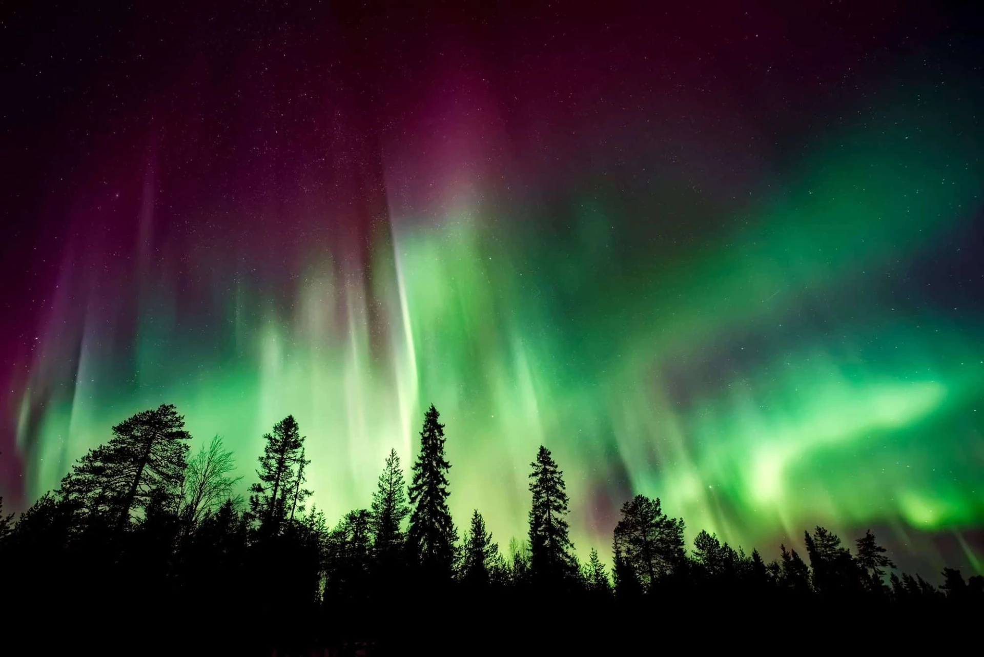 Northern Lights and Dog Sledding Adventure