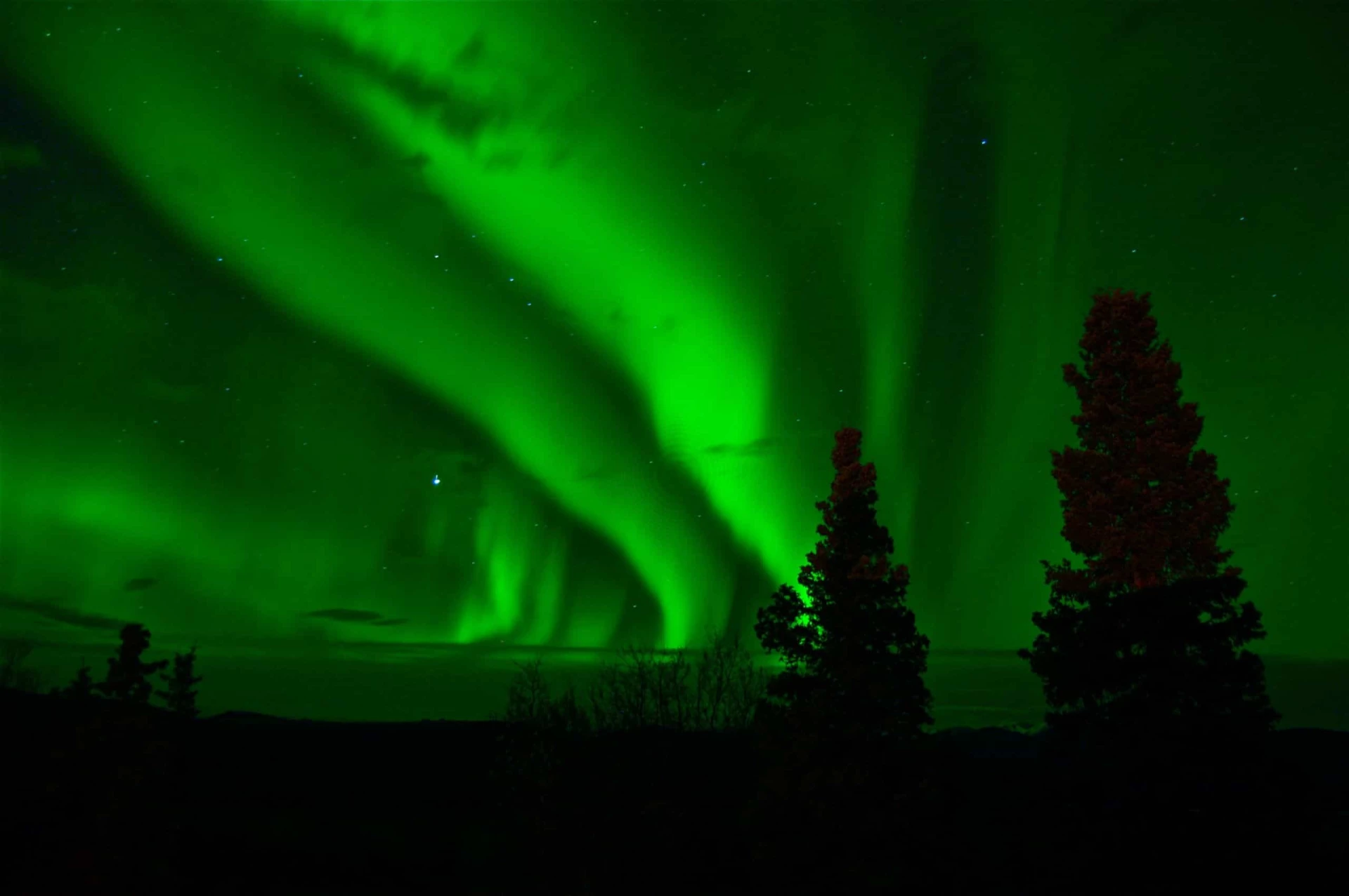 Northern Lights and Dog Sledding Adventure