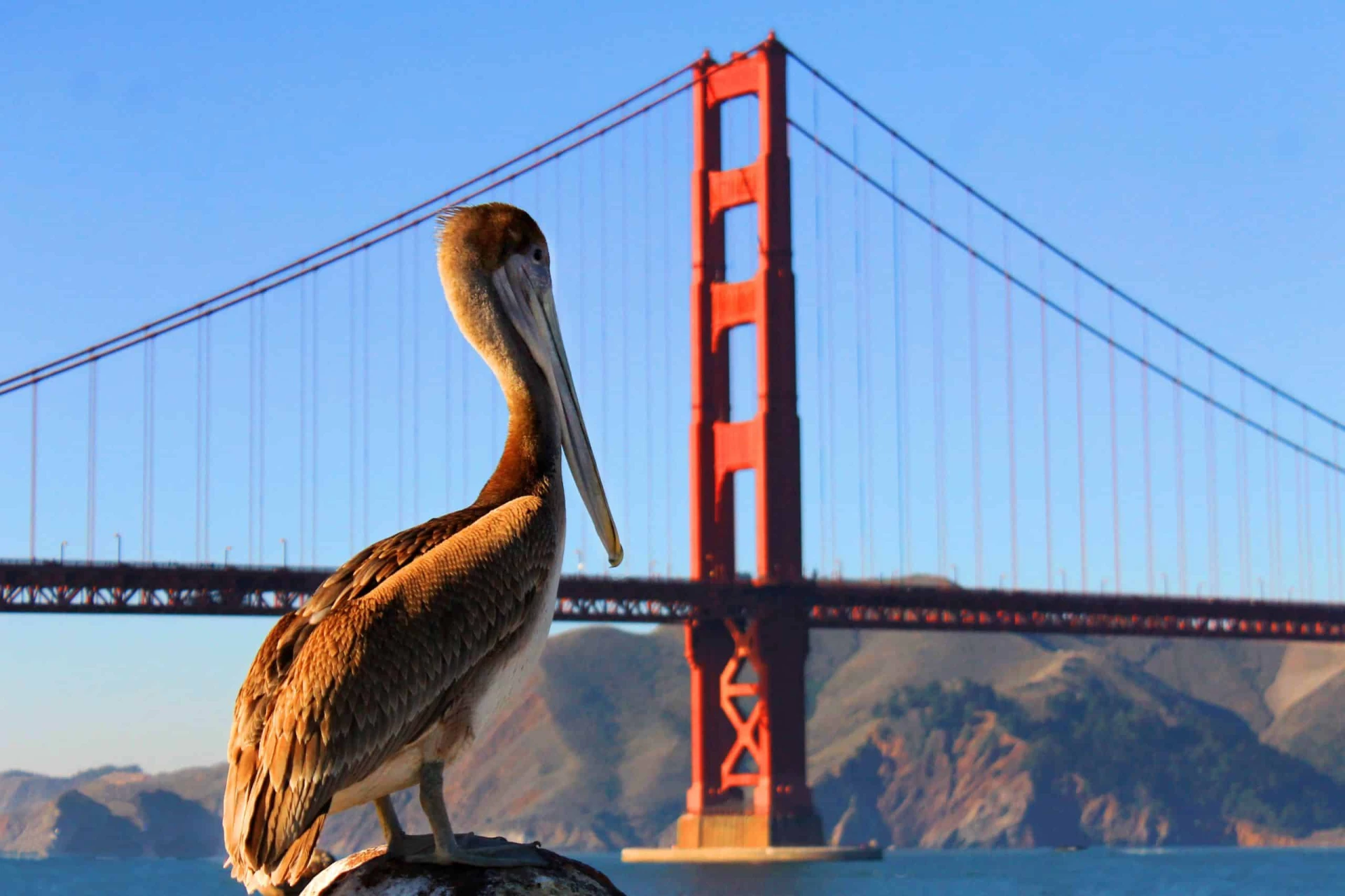 Pacific Coast Drive: San Francisco, Los Angeles and San Diego