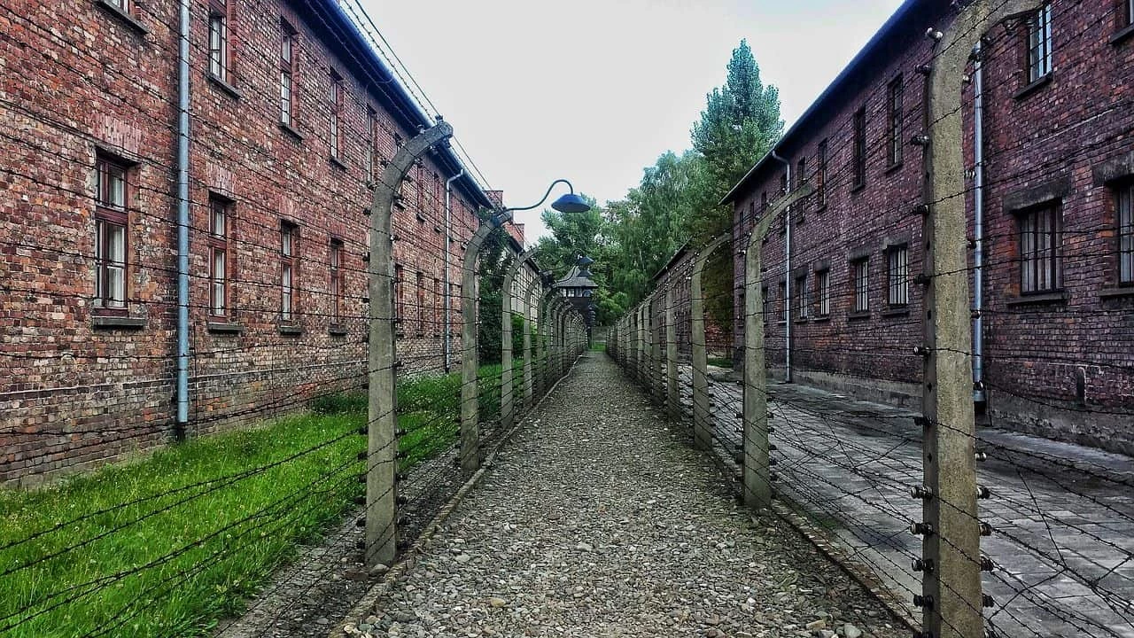 Day 6: Auschwitz