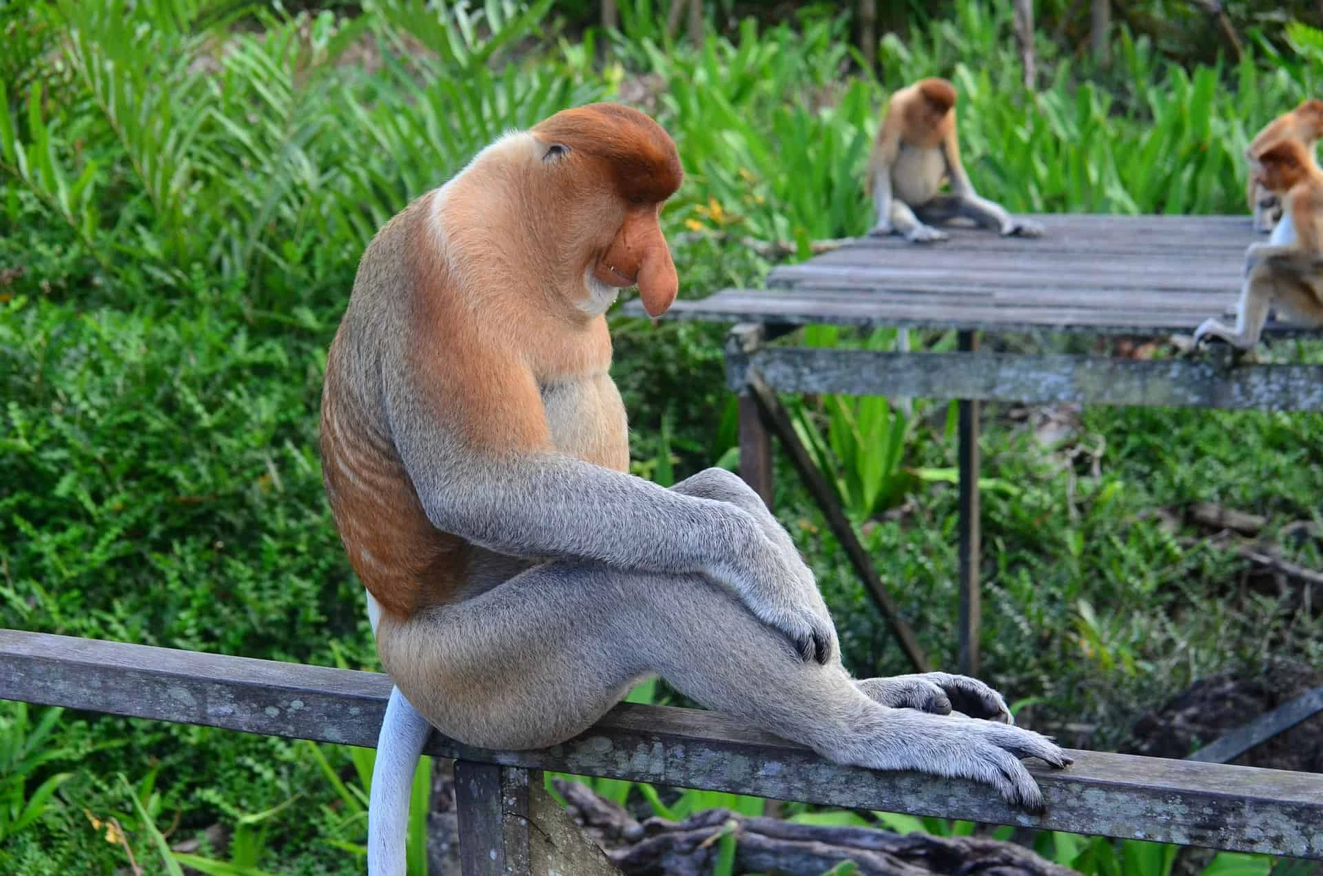 Gay Group Trip: Island Hopping In Indonesia