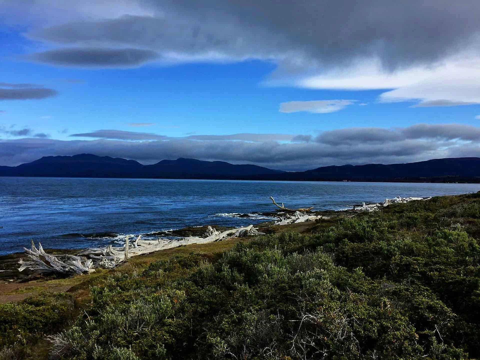 Day 1: Punta Arenas