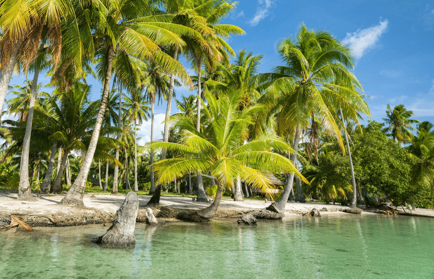 About Raiatea