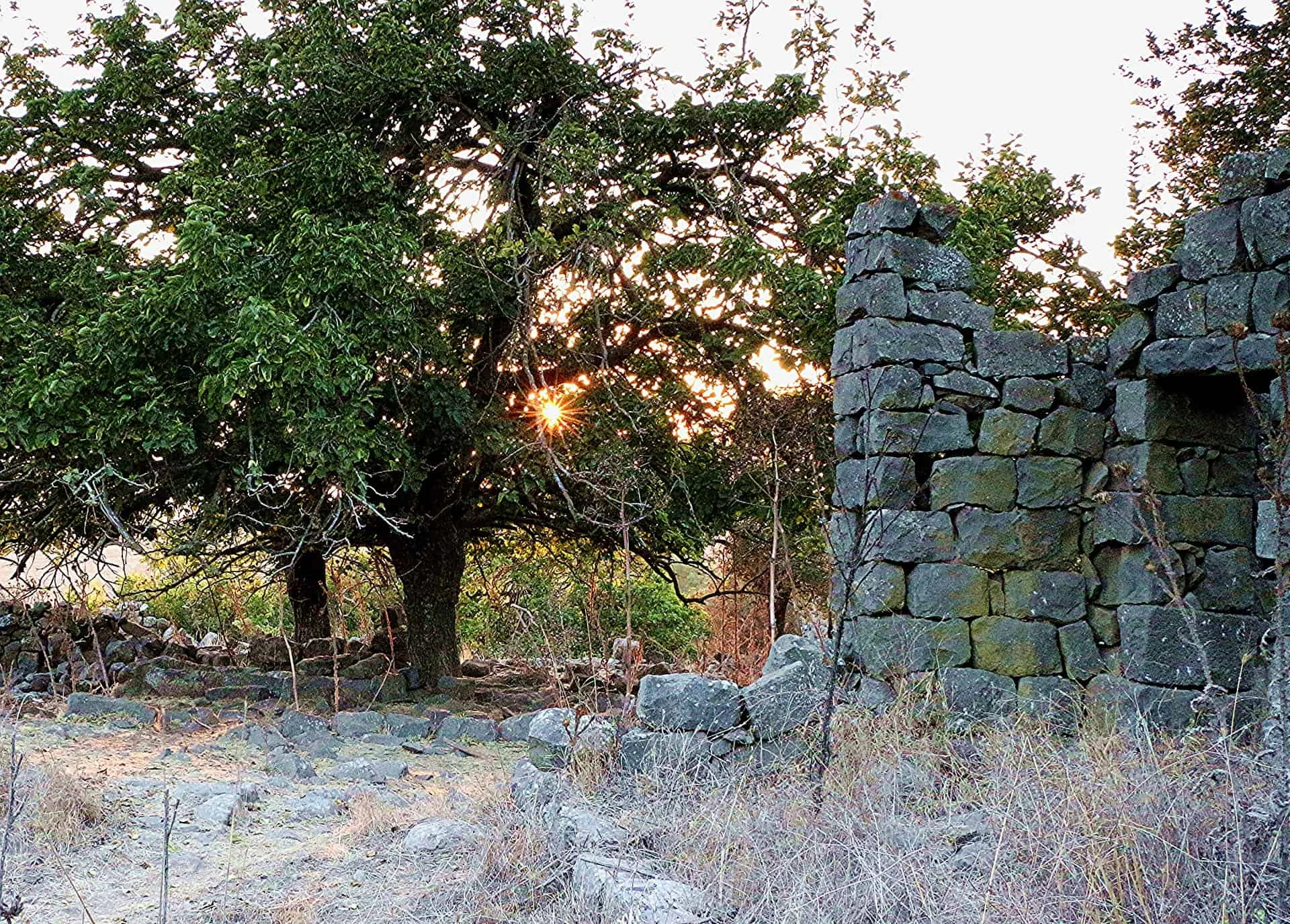 Day 6: The Golan Heights