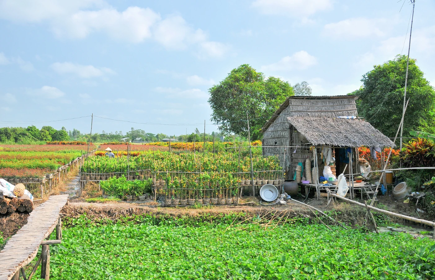 Day 9: Cu Lao Gieng / Sa Dec