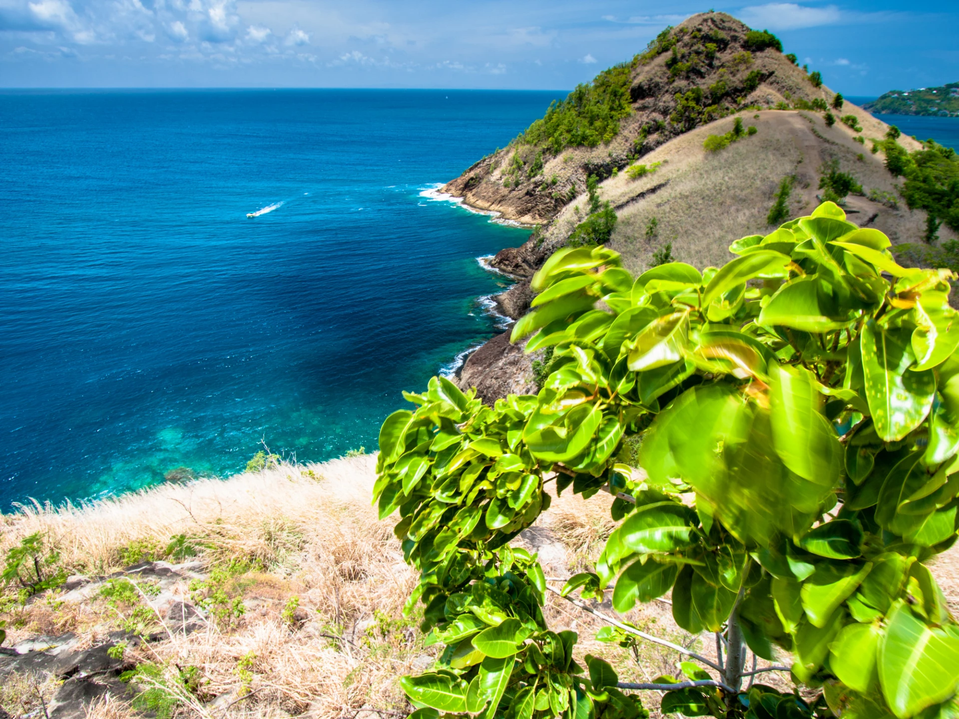 Luxury St Lucia vacations
