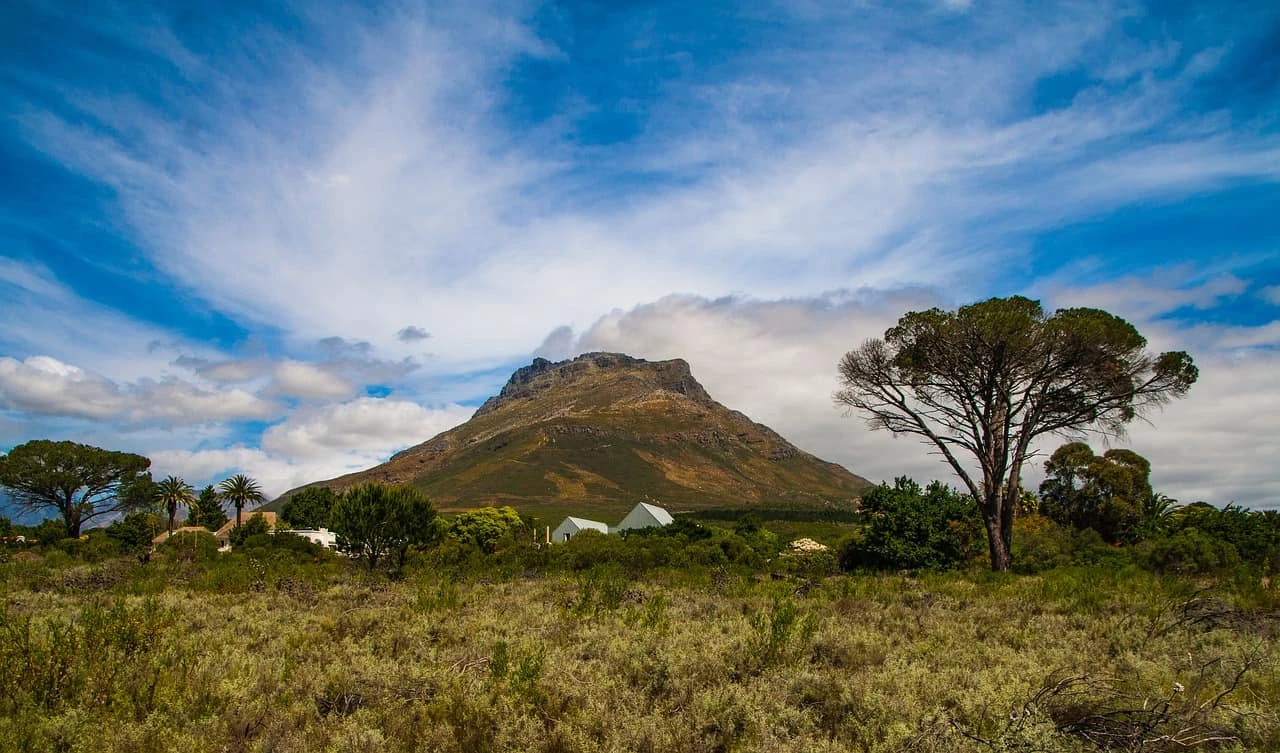 Gay Group Trip: Luxury South Africa