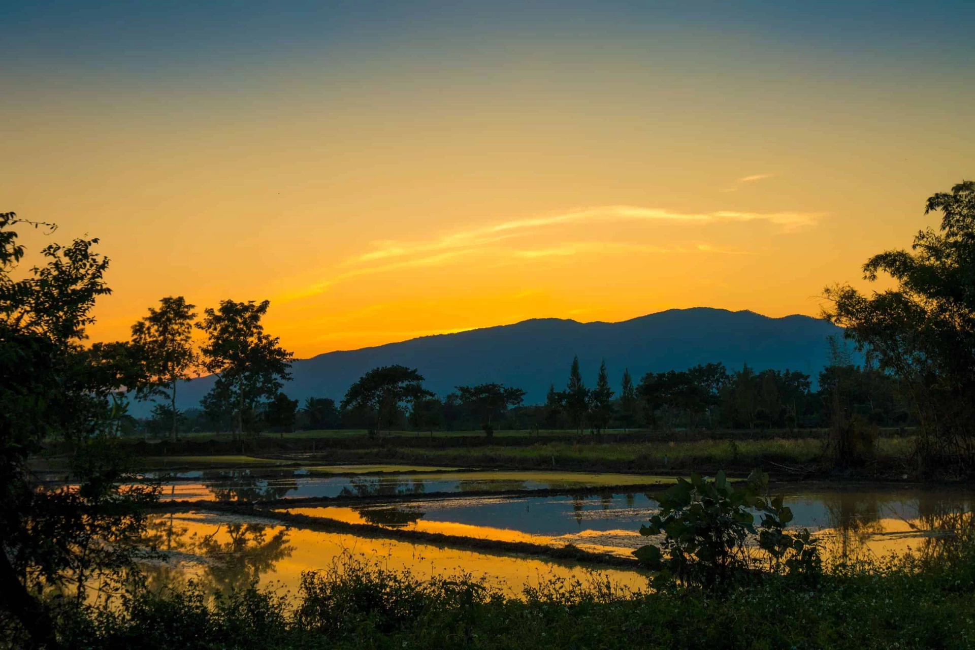 Bangkok, Chiang Mai and Chiang Rai