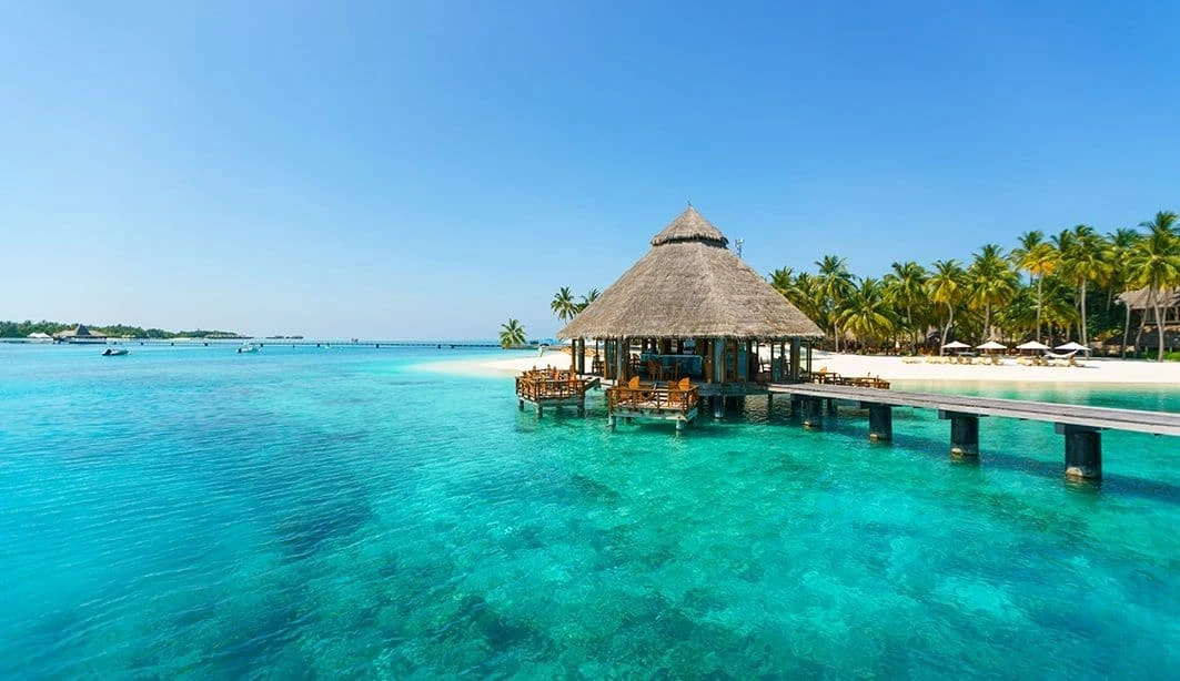 Symbolic Gay Wedding in the Maldives
