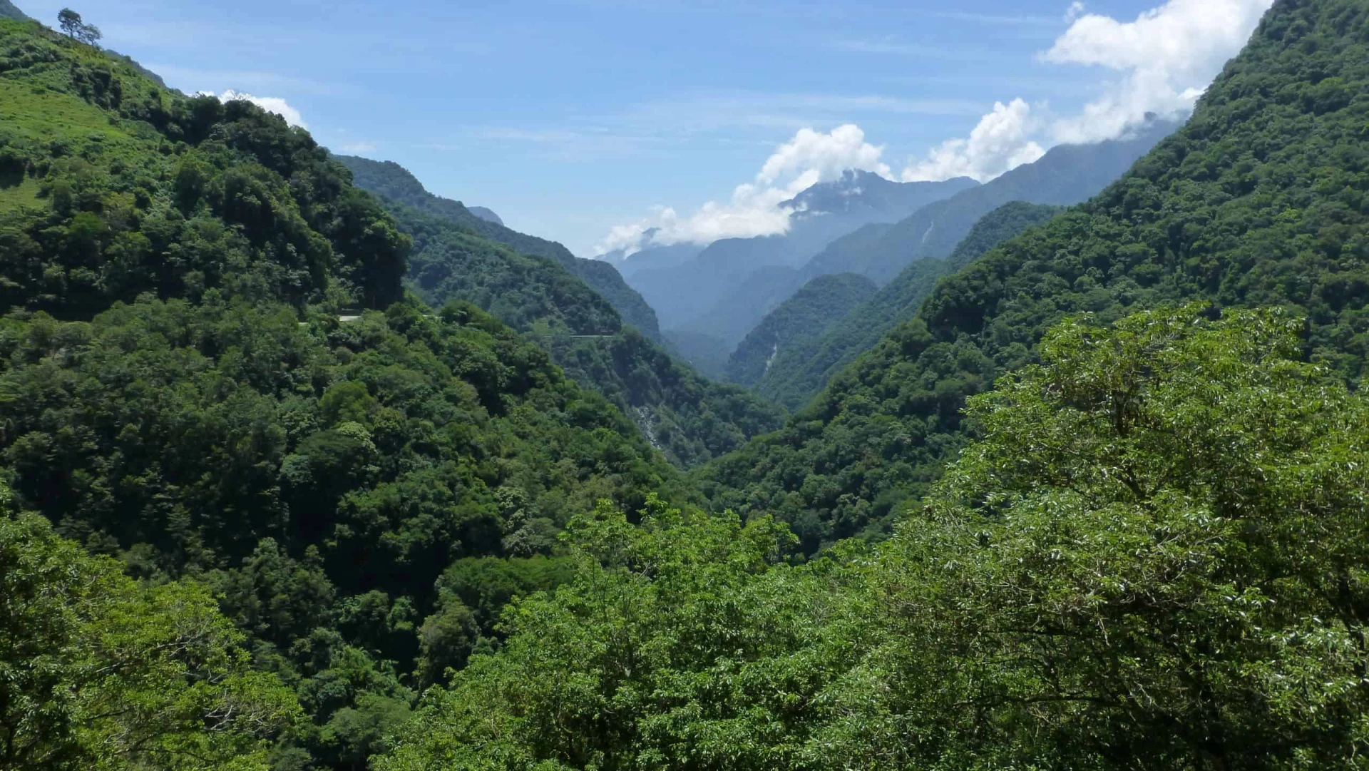 Taiwan