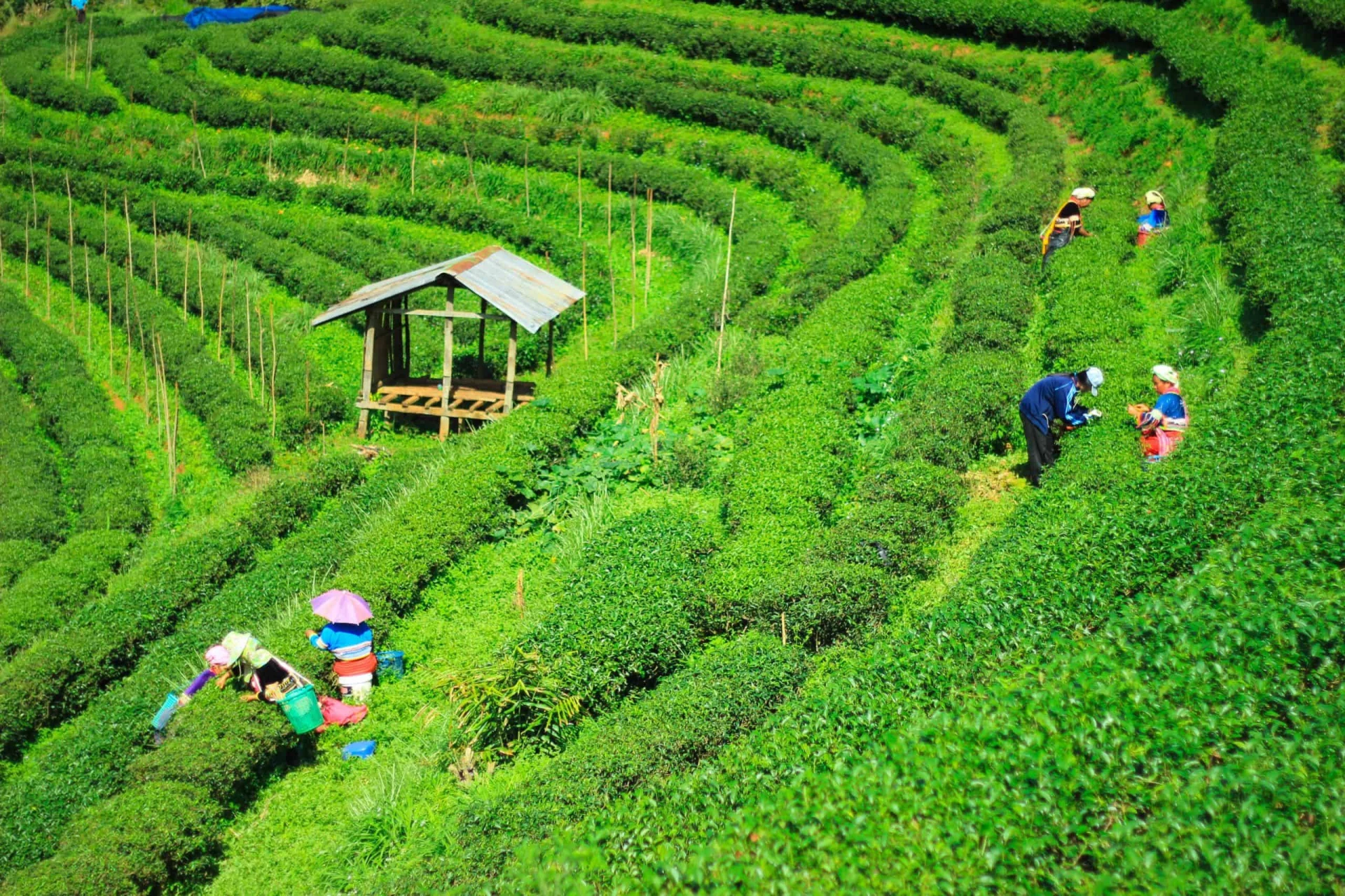 Thailand Culture and Cuisine