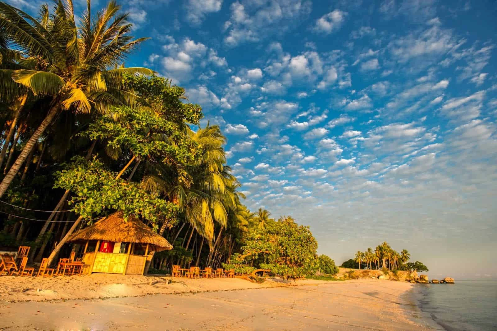 Timor Liste