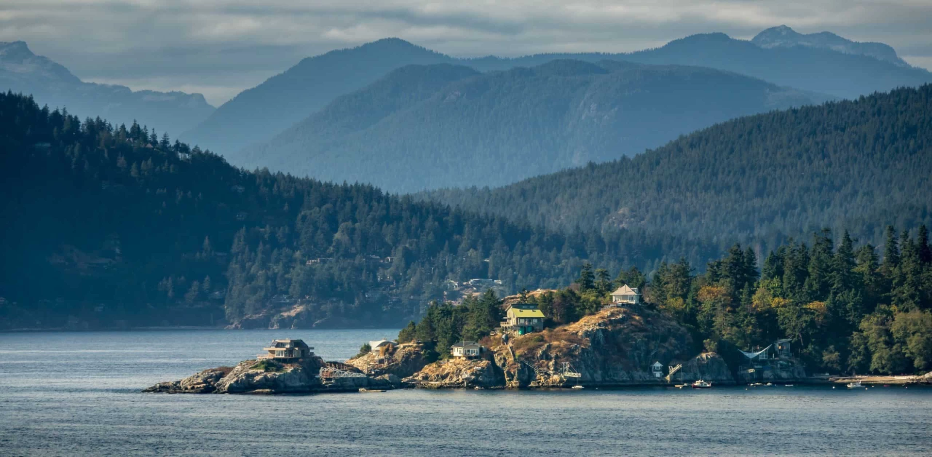 Whales, Bears and Vancouver Island