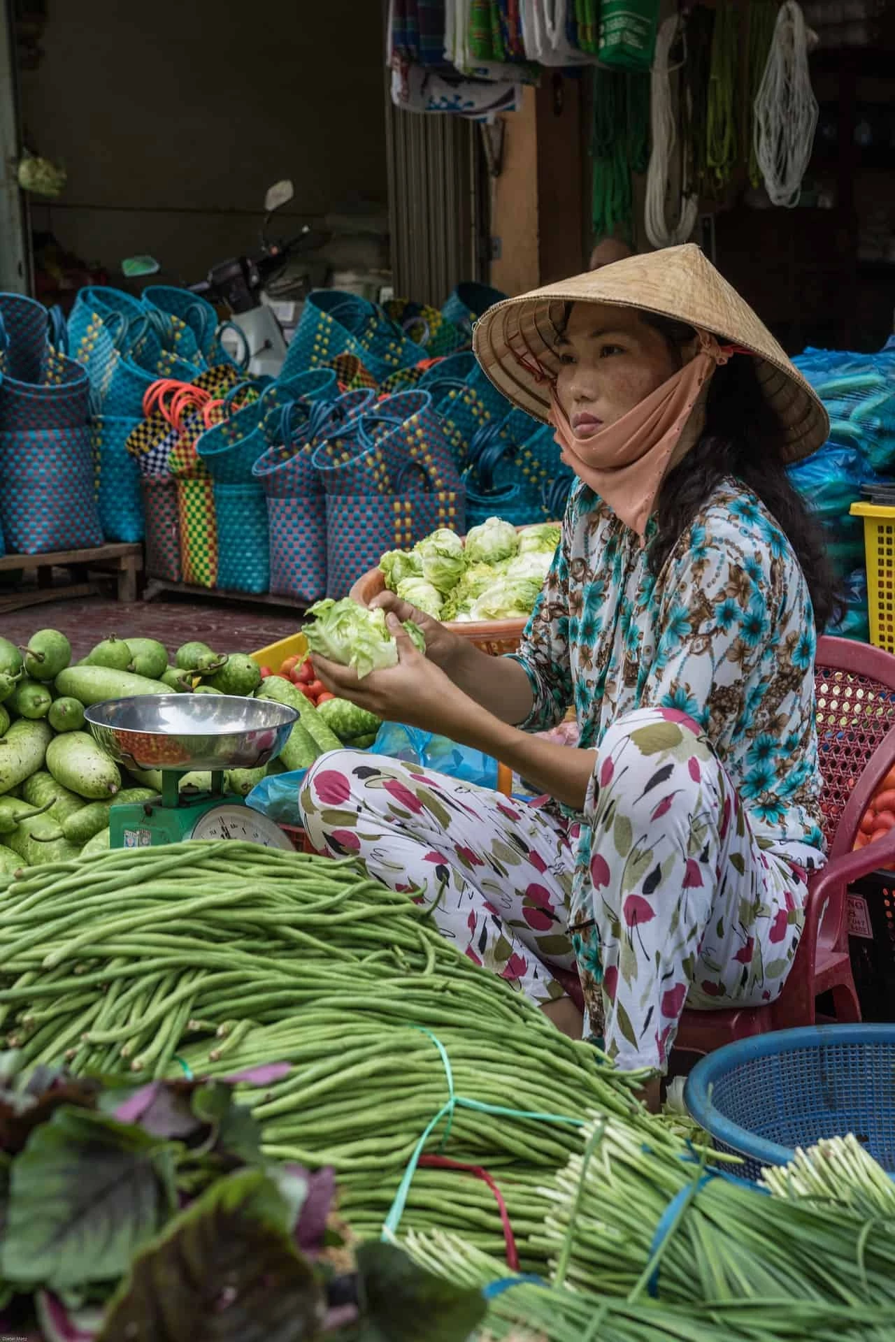 A Taste Of Vietnam