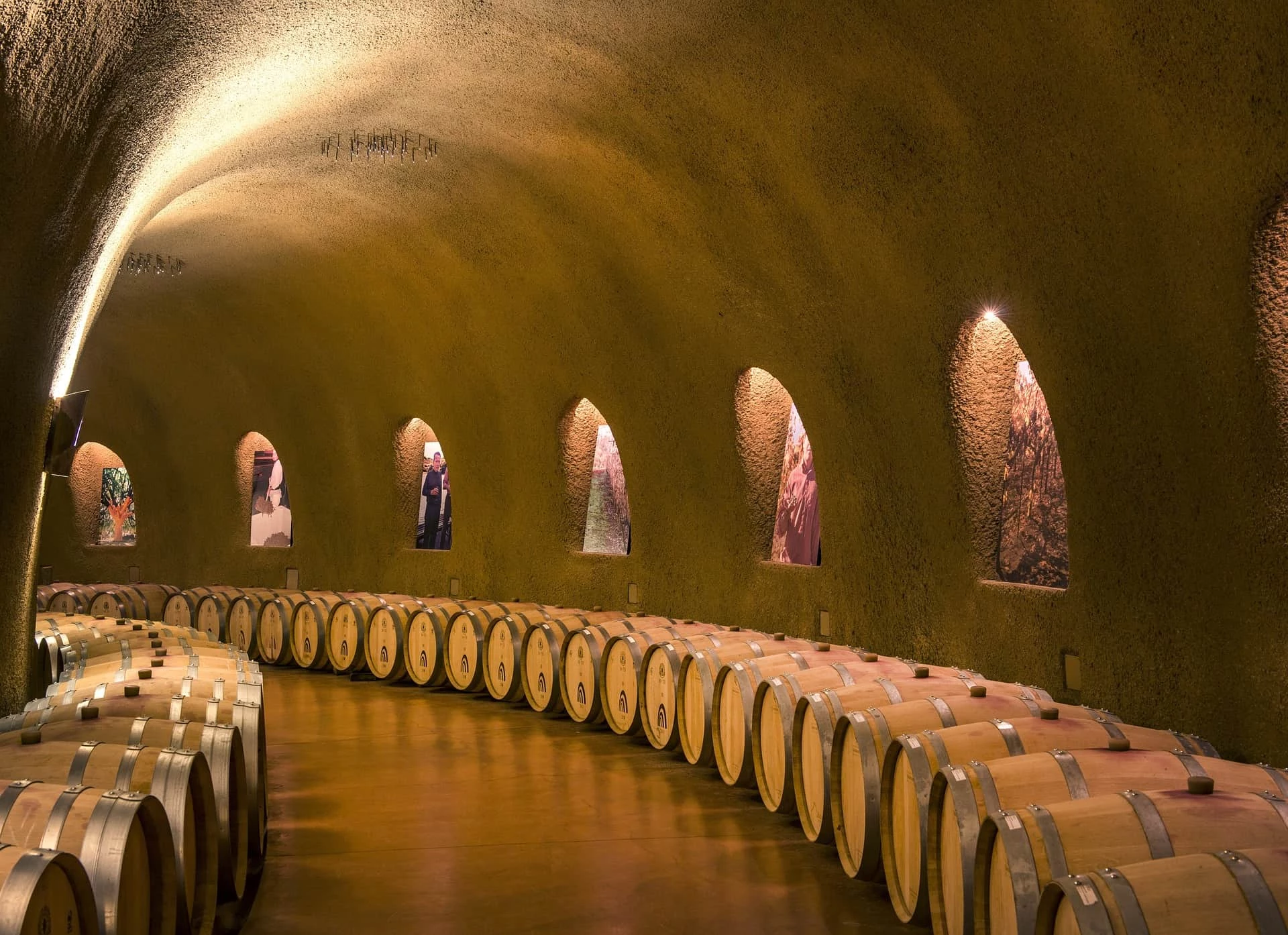 Napa Valley Wine Tour