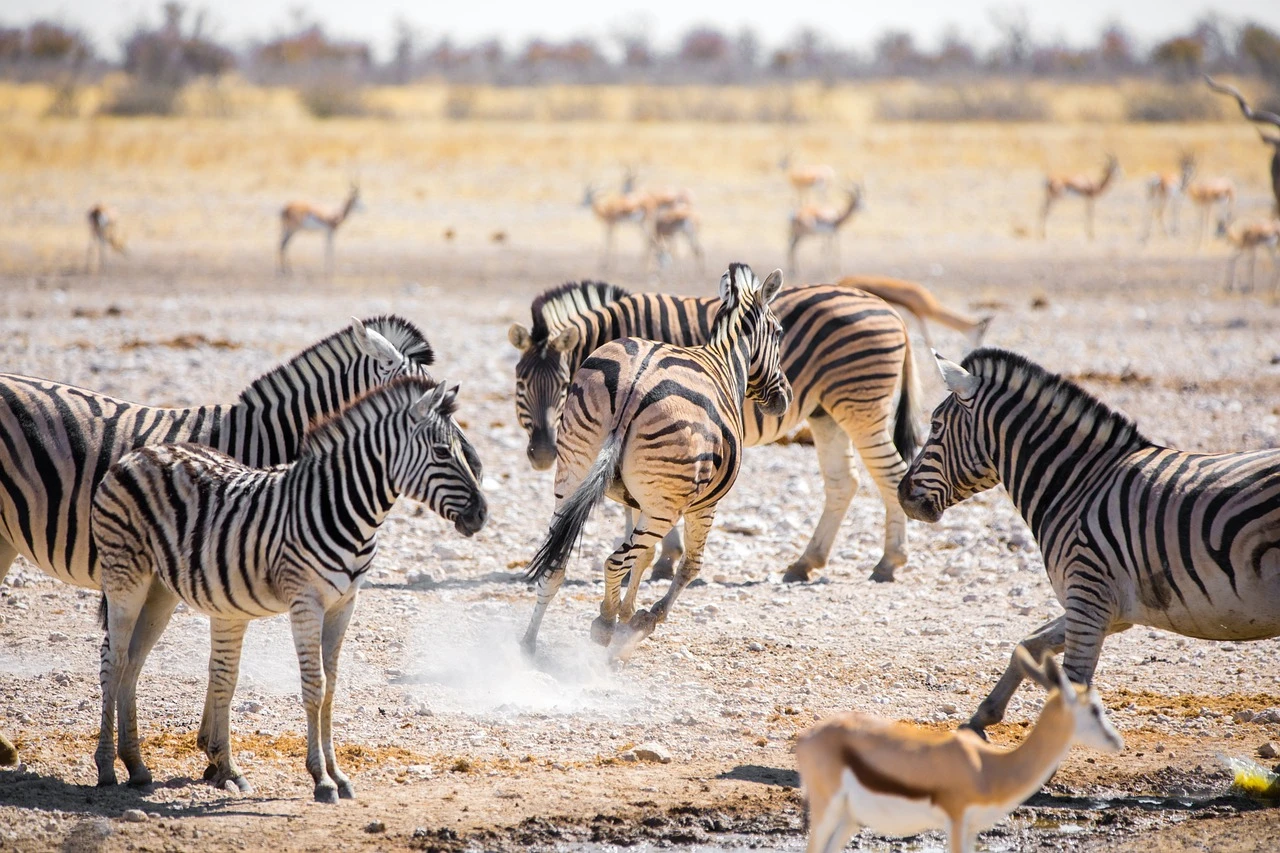 Namibia